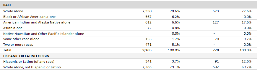 uninsured duluth minnesota by race and ethnicity measures